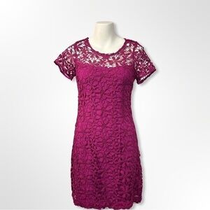 Hollister Purple Lace Dress Size 3